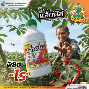 แอ็กนิส